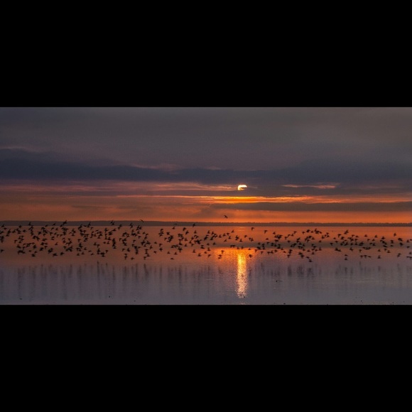 Meet your Posher, Kat - Picture 8 of 9